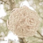 quarum wedding photography